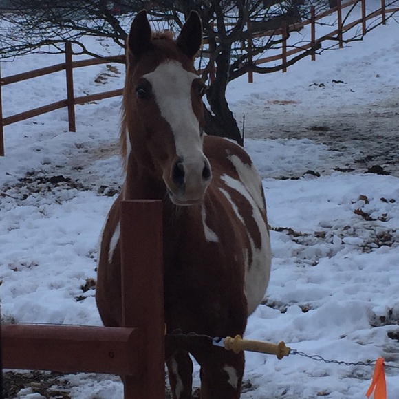 So many Styles...Too much Sauce😎 - Picture 7 of 8